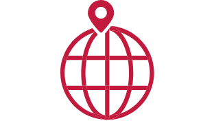 Network Icon