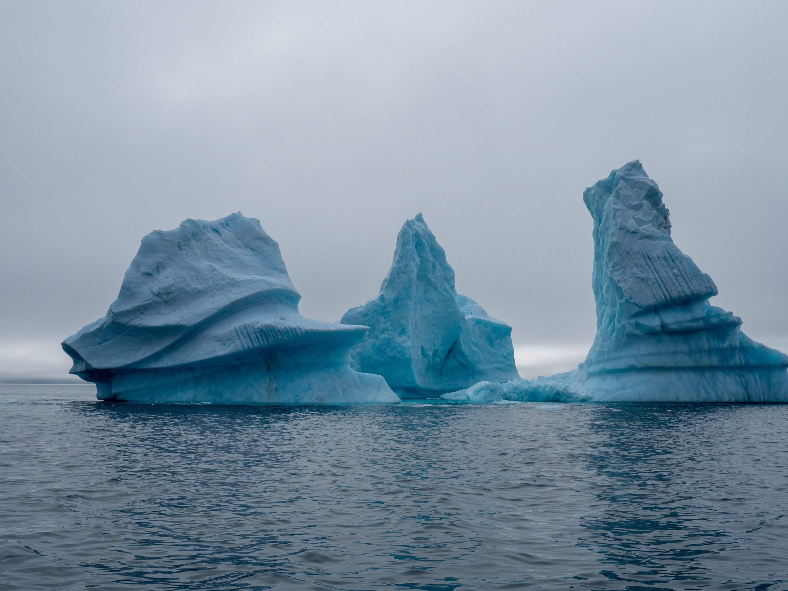 icebergs in ocean